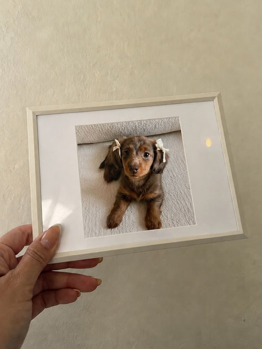 Cuadro para Regalar