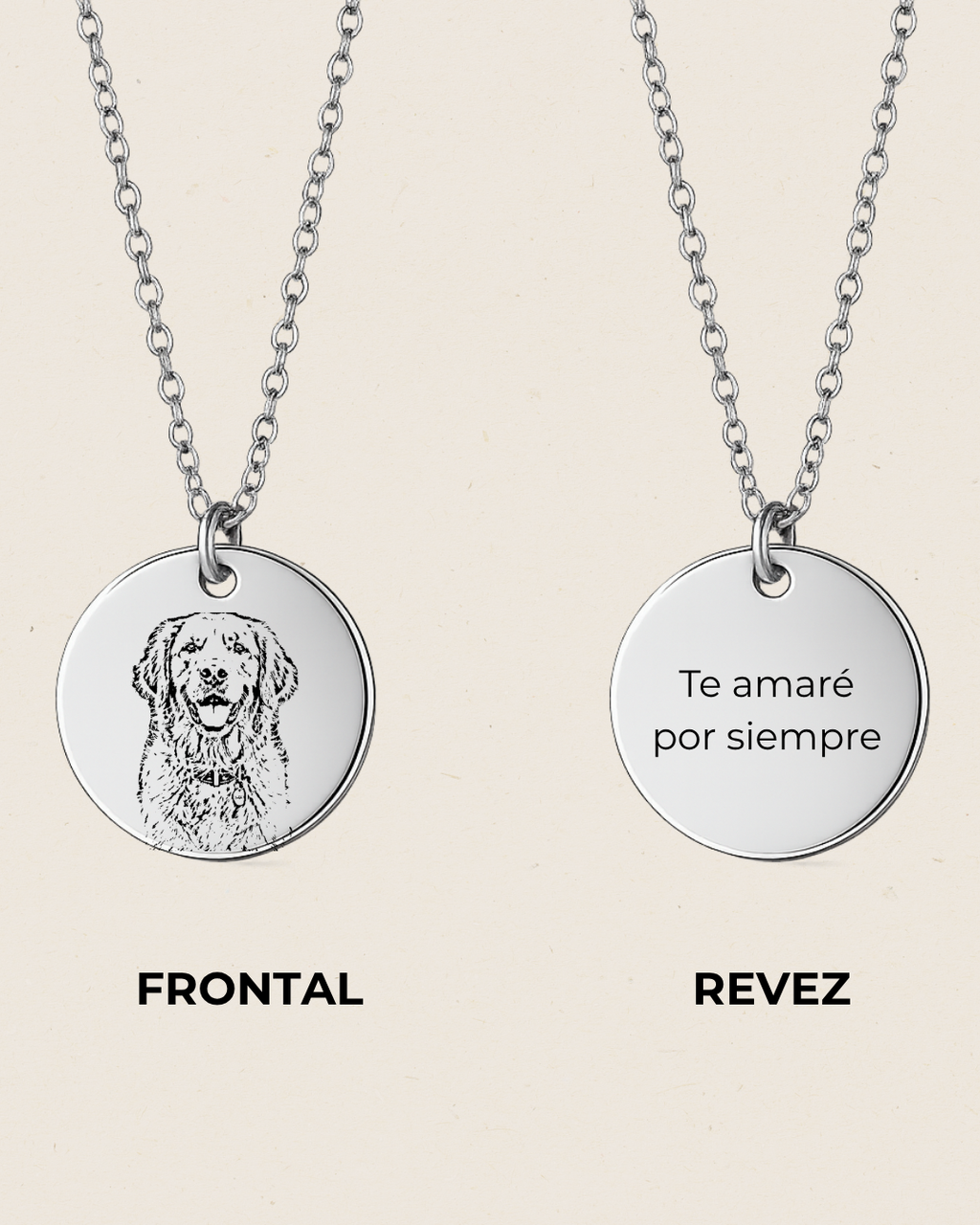 Mi Mejor Compañero | Collar Mascota Personalizado 🐾