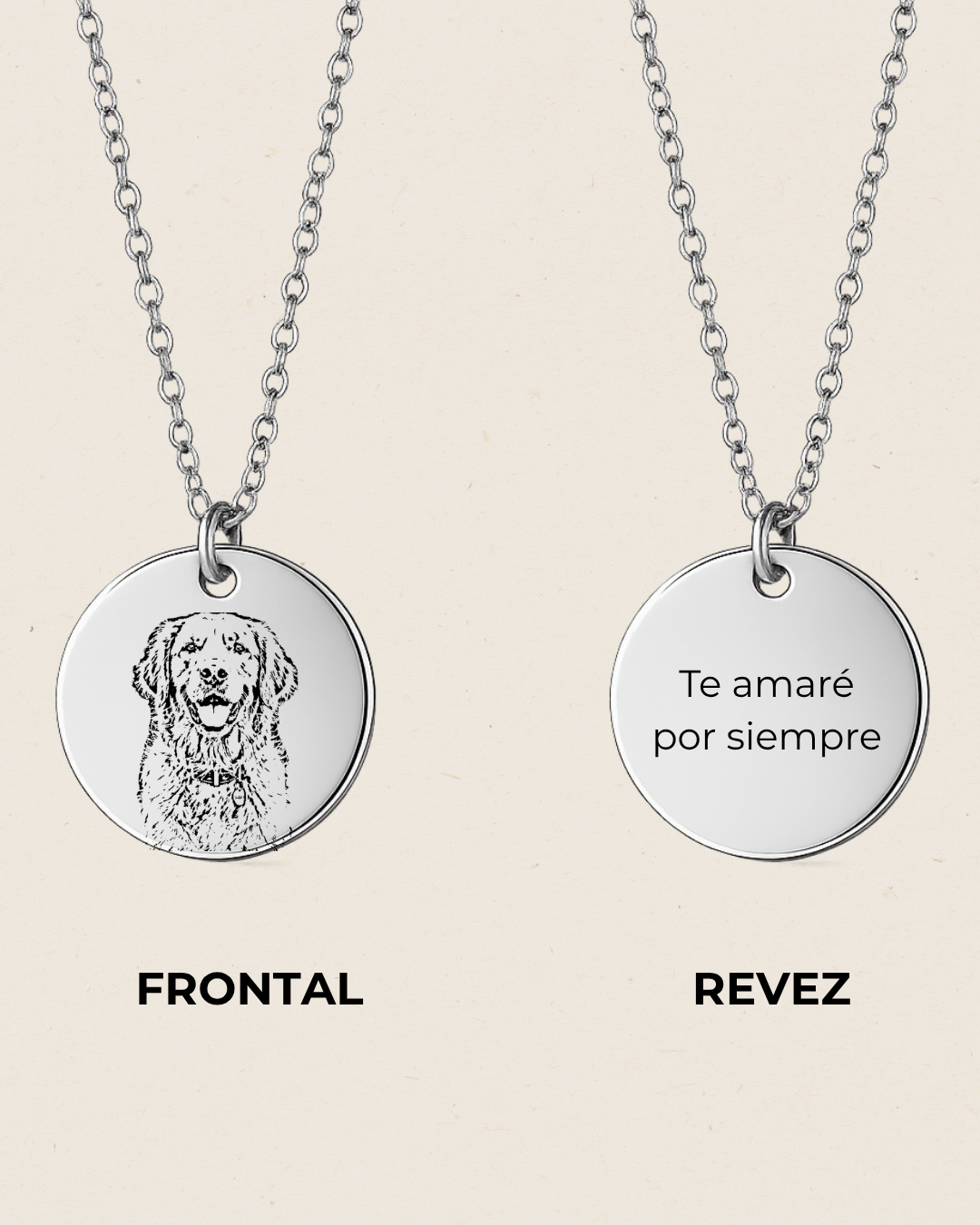 Mi Mejor Compañero | Collar Mascota Personalizado 🐾